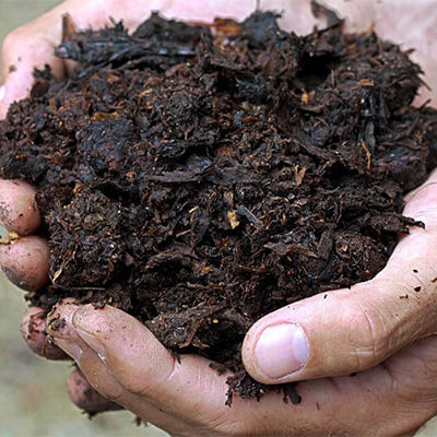 Horse manure